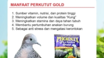 Daftar Gacor Terjitu: Tips untuk Burung Agar Lebih Berkicau