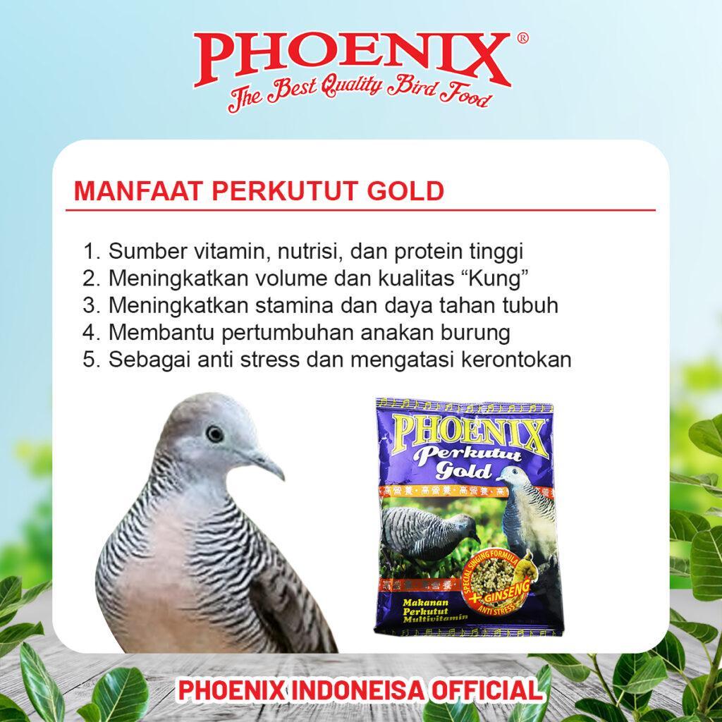 Daftar Gacor Terjitu: Tips untuk Burung Agar Lebih Berkicau